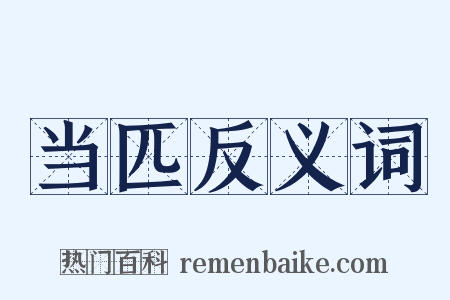 当匹反义词是什么意思的图片